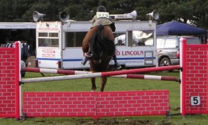 Sloping/Swedish oxer - acceptable in the ring, but not as a practice fence.