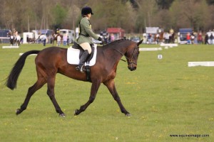 Tilly Dressage