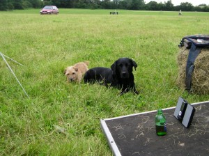 My grooms (and their refreshment!) camping over at a CIC*.