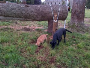 The assistant fence judges 'replacing' divots.
