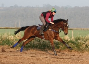 Beth Eckley in her day job - riding some of the top NH horses in the country.