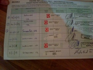 This horse had its last flu vacc on 5/1/13 so is OK to compete at FEI competitions for 6 months and 21 days after this ie. until 26/7/13