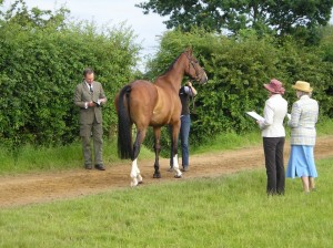 There may or may not be a trot-up. Make sure you check!