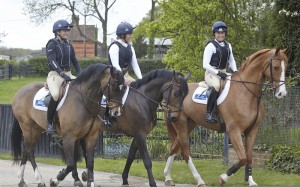 Piggy, Kitty, Pippa wearing the new Freedom and Vanguard body protectors