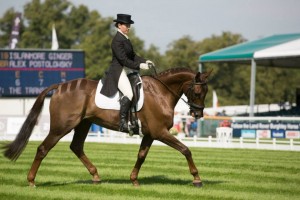 Alex riding Islanmore Ginger in the dressage phase at Burghley