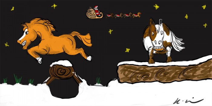 xcponies1000