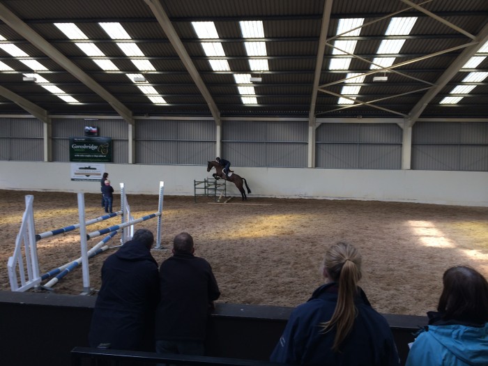 Watching a horse perform in the indoor.