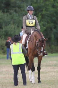 dressage