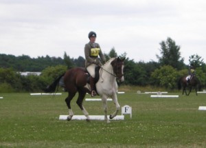dressage3