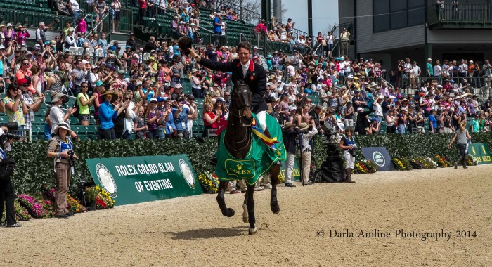William Fox-Pitt on Bay My Hero. Winner of the 2014 Rolex Kentucky Three-Day Event.