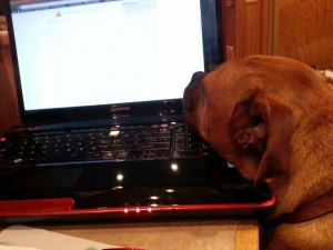 Mister, my co-editor.