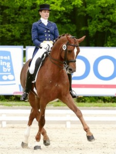 Garuda K photo courtesy of Woodcroft Stud