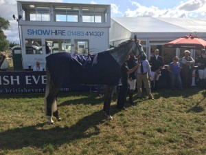 Winning Intermediate horse Luxury FH