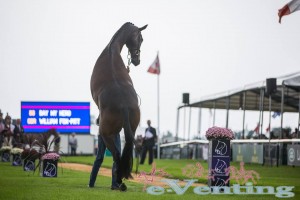 FoxPittBurghley14
