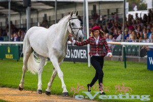 LouiseMilneHomeBurghley14