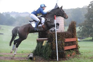The fences are known to be beefy but jump very well