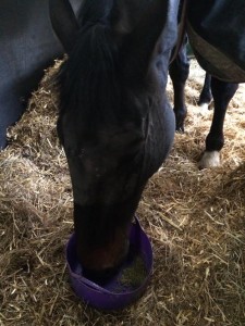 Thankfully regaining his appetite