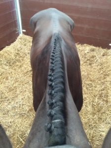 Not bad for a rider groom!